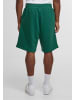 Rocawear Rocawear Shorts in green