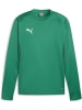 Puma Pullover "TeamGoal Training Sweat" in Grün