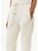 comma Hose in 8013_helles beige