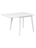 ebuy24 Esstisch Roxby Weiß 120 x 80 cm