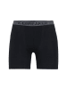 icebreaker Boxershort Anatomica in Schwarz
