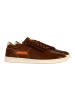 Redskins  Sneakers aus Leder Distrait Braun
