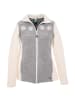 Alp1964 Jacke 423301 in grau