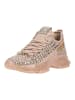 Steve Madden Sneaker MANDALAY-E Gold/Beige