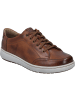 Josef Seibel Sneaker David 03 in braun