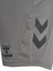 Hummel Sportshorts "Pro Training Shorts" in Grau