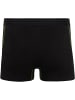 normani 6 Herren Baumwoll-Boxershorts in Grün