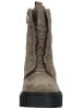 ara Stiefelette in Braun