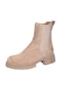 Apple of Eden Stiefeletten  Bis in beige