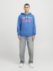 Jack & Jones Kapuzenpullover in Pacific Coast