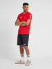 Hummel T-Shirt Hmlgo Herren in TRUE RED