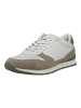 LLOYD Sneaker in Taupe