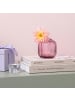 Villeroy & Boch 3er Set Vasen-Set Fleur 11 cm in bunt