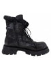 Papucei Schnürstiefel  in Schwarz