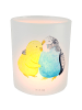 Mr. & Mrs. Panda dekolicht Wellensittich Liebe ohne Spruch in Transparent