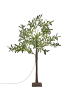Beliani LED Deko CELIONI in Grün/Braun/Schwarz - (W) 68 x (H) 120 x (L) 68 cm