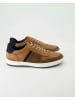 LLOYD Klassische Schnürschuhe in Braun