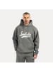 SMILODOX Hoodie Lorik in Grau