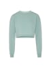 SANIKA Sweatshirt in Eisminze