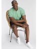 Delmao Poloshirt in grün