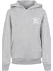 F4NT4STIC Hoodie in heather grey