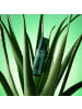 NATURE REPUBLIC Gesichtsemulsion Real Squeeze Aloe Vera Emulsion, 130 ml