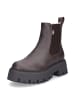 Buffalo Chelsea Boot Aspen Chelsea Warm in Braun