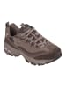 Skechers Sneakers Low Skechers D'Lites Modern Classic in braun