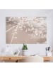 WALLART Leinwandbild - Ginsterzweige in Creme-Beige