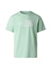 The North Face Evolution Half Dome Regular T-Shirt in Mint