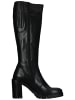 Nero Giardini Stiefel in Schwarz