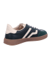 Gant Sneaker Low in grün
