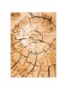 Pergamon Teppich Samba Nature in beige