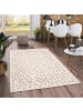 Pergamon In & Outdoor Teppich Flachgewebe Campus Mix in Beige