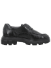 Paul Green Schnürschuhe in schwarz