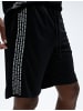 KOTON Shorts in Schwarz