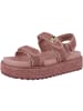 Steve Madden Sandale Bigmona in pink