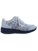 Finn Comfort Schnürschuhe MORI in Hellgrau