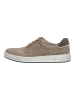 Pius Gabor Sneaker in Beige/Grau