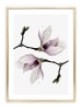 Tales by Jen Poster / Kunstdruck "Magnolia twins" I Ohne Rahmen