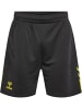 Hummel Hummel Shorts Hmlactive Multisport Herren Atmungsaktiv Feuchtigkeitsabsorbierenden in OBSIDIAN/SULPHUR SPRING