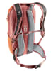 Deuter Rucksack / Backpack Race 16 in Chestnut/Redwood