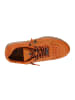 Cetti Sneaker low C-848 INV27 in Orange