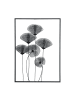 GILDE Wandrelief "Mohn" in Schwarz - H. 70 cm - B. 50 cm