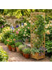 relaxdays Pflanzkasten-Rankgitter in Natur - (B)55 x (H)180 x (T)51 cm