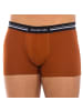 Abanderado Boxershorts in Brown