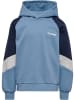 Hummel Kapuzenpullover Raglanärmel Hmljr Loose Kinder in FADED DENIM