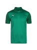 Puma Poloshirt TeamGOAL 23 Sideline in grün