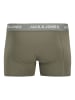 Jack & Jones 3er-Pack Trunks in Agave Green