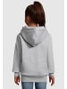 Absolute Cult Absolute Cult Kapuzenpullover in heather grey